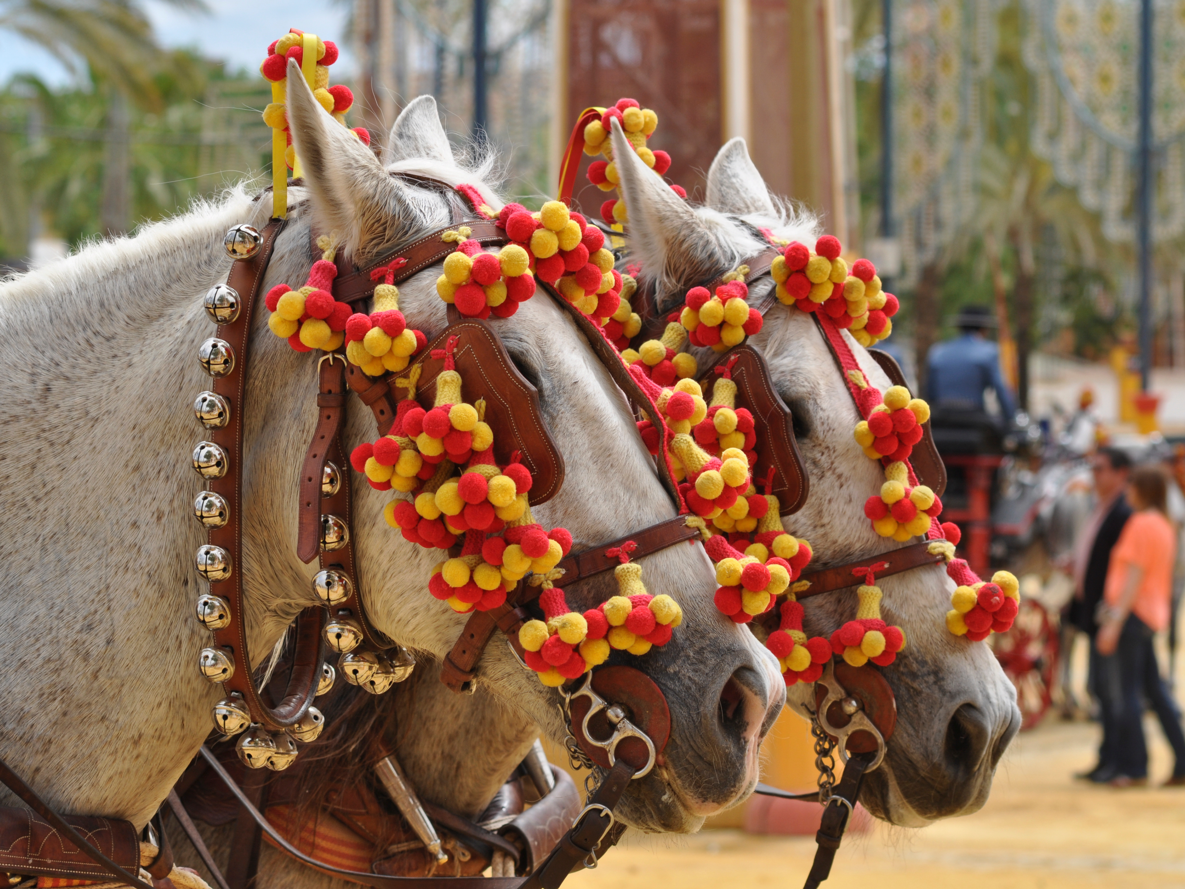 Top 5 Cultural Festivals in Spain