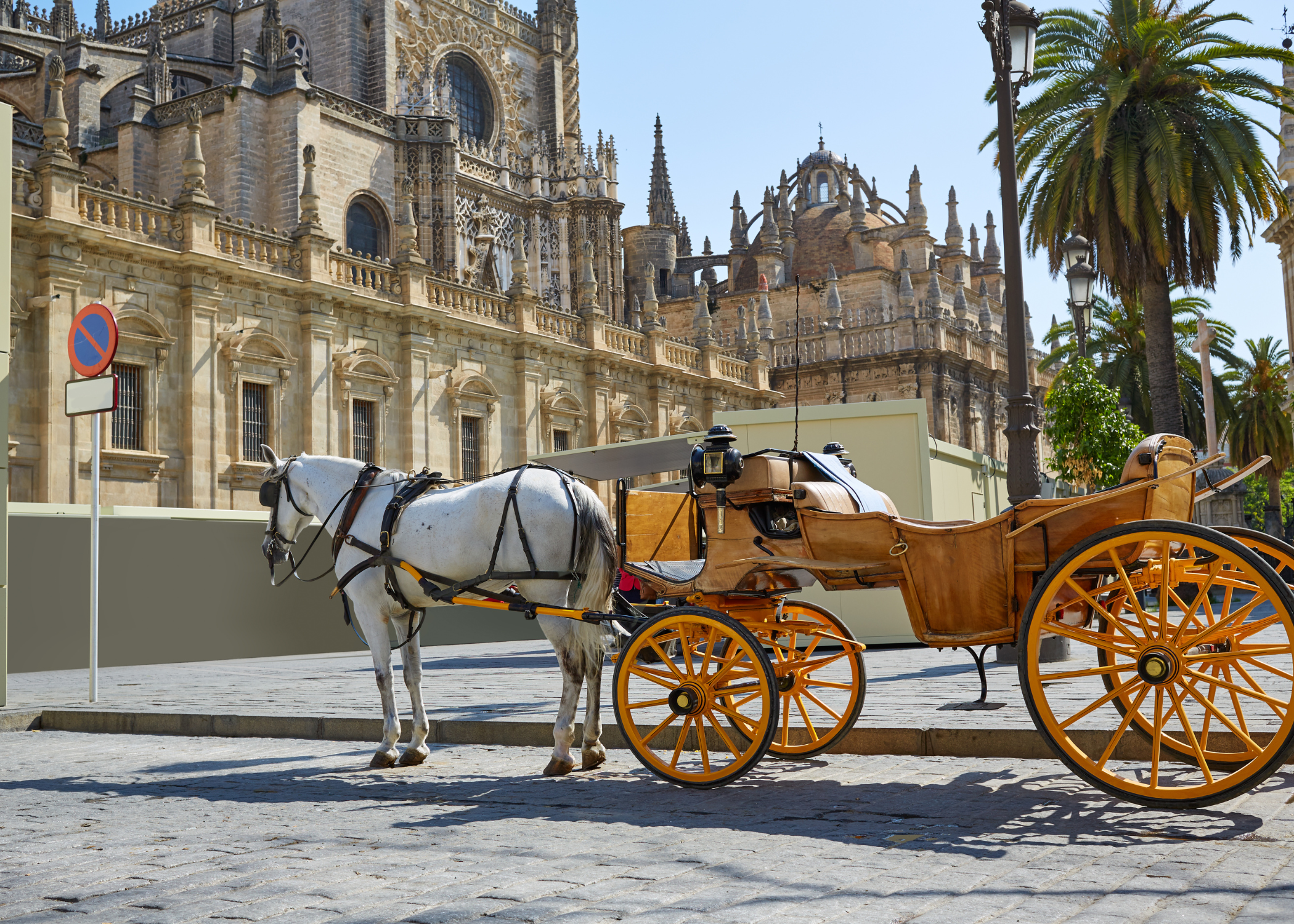 A typical Sevillian horse-drawn carriage