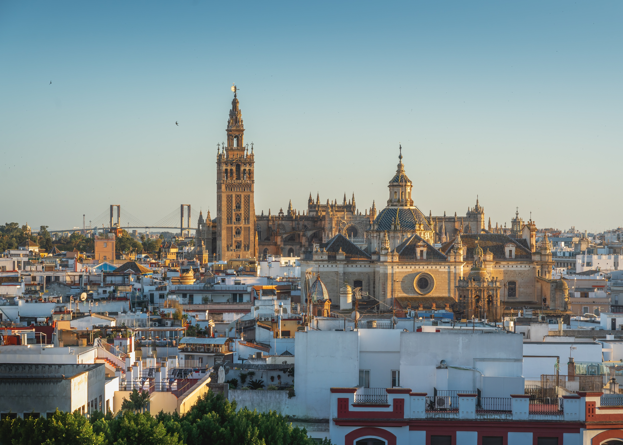 The views of the city of Seville