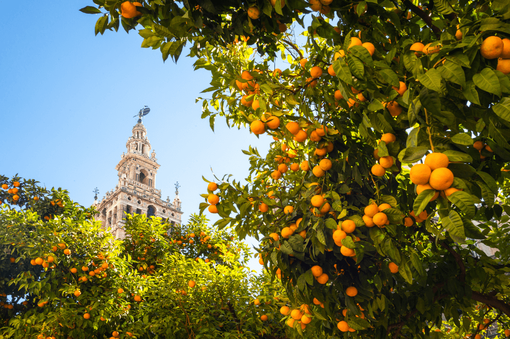 spring is the best time to visit seville