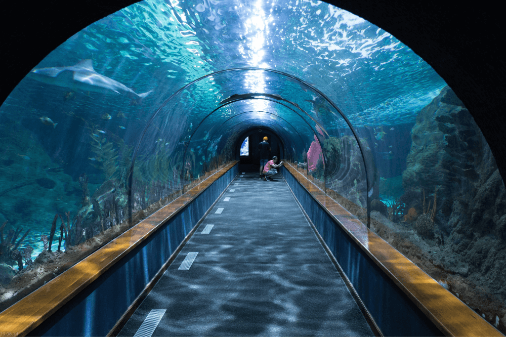 barcelona-aquarium-with-kids