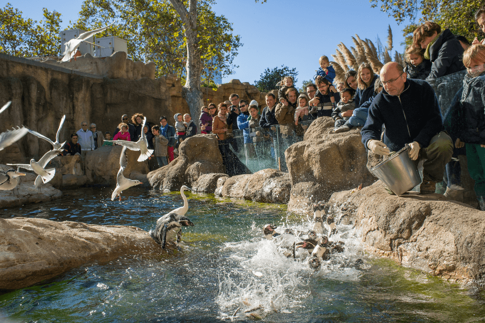 barcelona-zoo-with-kids