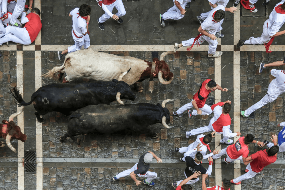 bulls-during-san-fermines